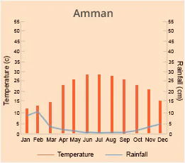 Amman