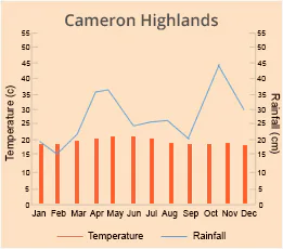 Cameron Highlands