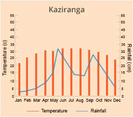 Kaziranga
