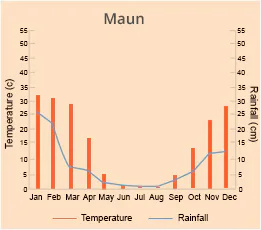 Maun