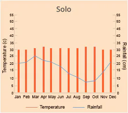 Solo