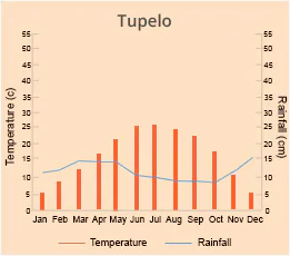 Tupelo
