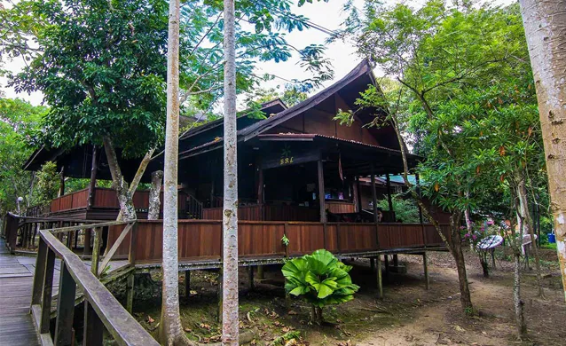 Bilit Rainforest Lodge