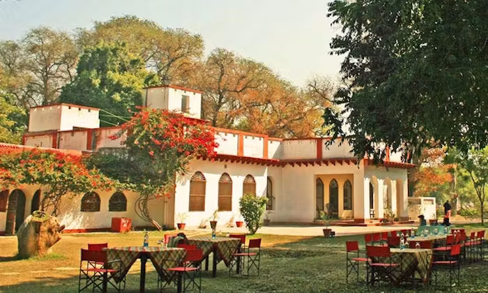 Chambal Safari Lodge