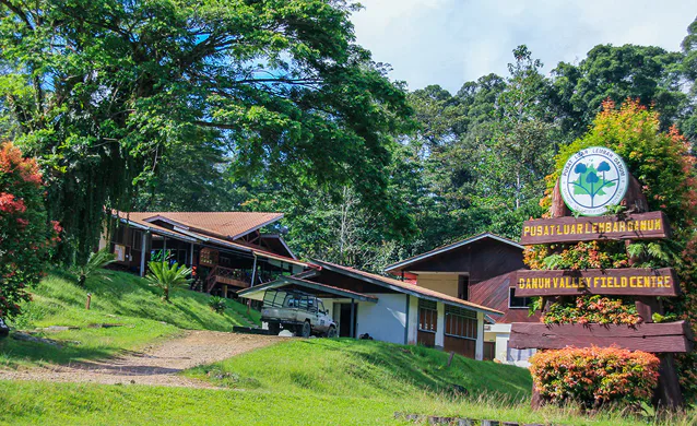 Danum Valley Field Centre