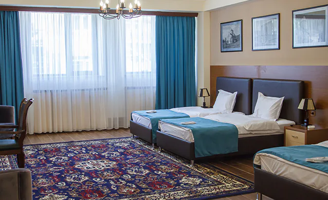 Hotel Plaza Viktoria