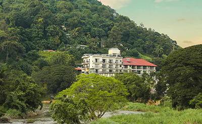 Oak Ray Regency Hotel