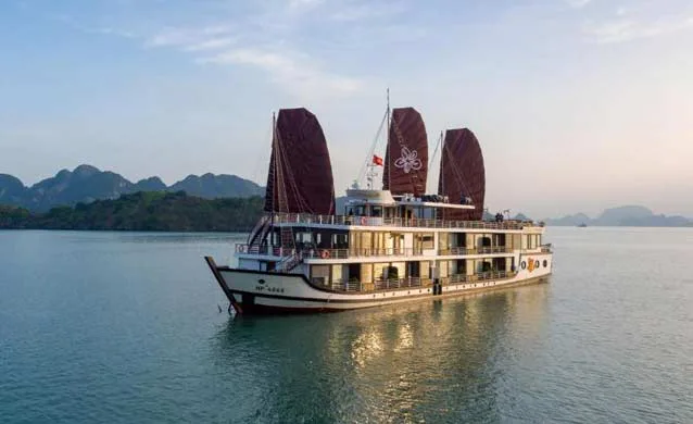 Orchid Trendy Cruise