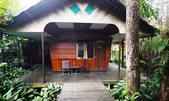 Rimba Orangutan Eco Lodge