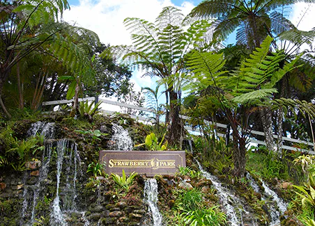 Strawberry Park Resort