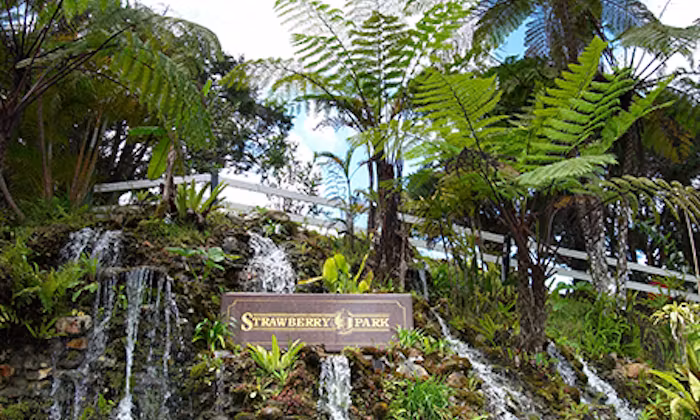 Strawberry Park Resort