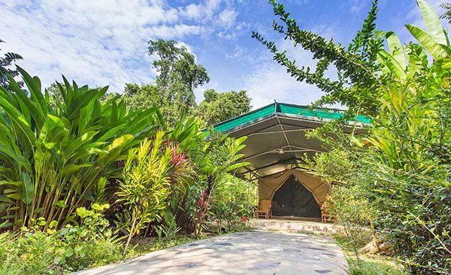 The Elephant Camp