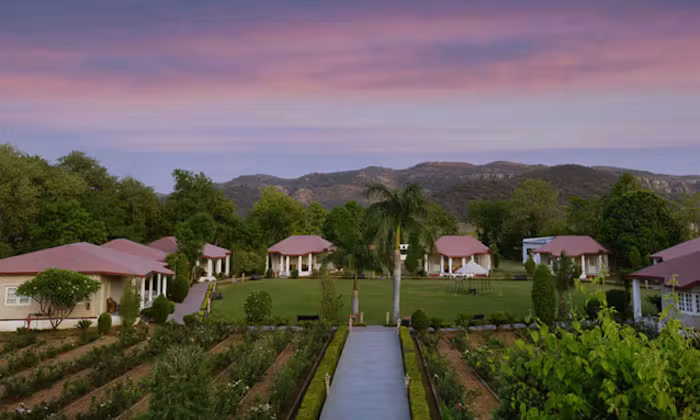 Tiger Den Resort