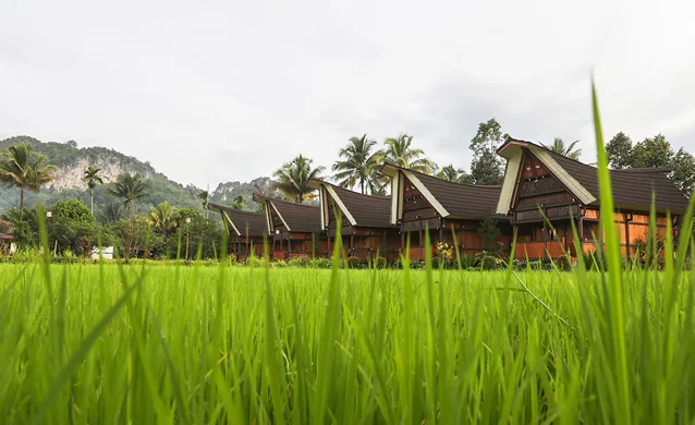 Toraja Misiliana Hotel