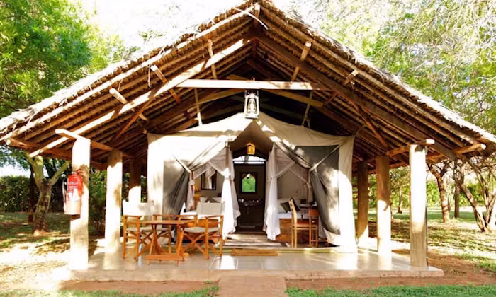 Voyager Ziwani Tented Camp