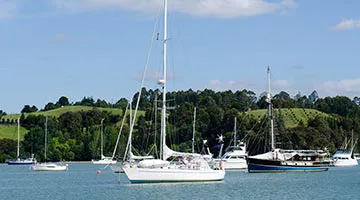 01-nzm-2image