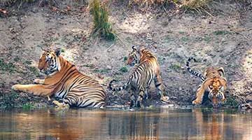 02-onthekanha
