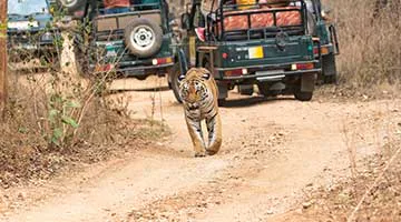 02-onthepench1