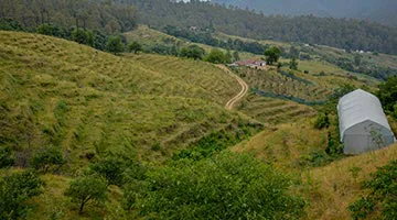 a-romantic-rendezvous-with-kumaon-04