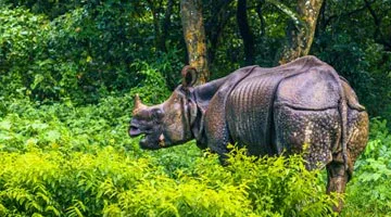 a-scenic-getaway-in-nepal-05