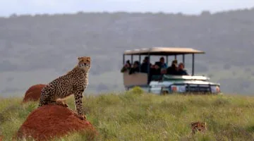 Amakhala-Game-Reserve-01-beach-nbanner