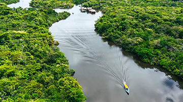 amazon-gala