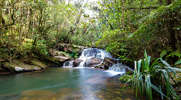 andasibe-national-park-bestf