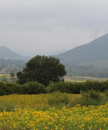 Araku-Valley-01