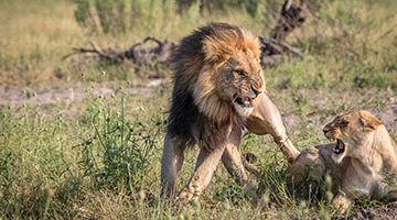 belmond-safaris-02-03