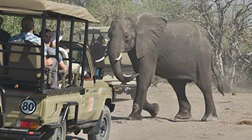 belmond-safaris-04-05
