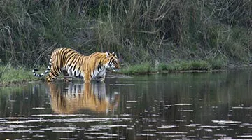 best-of-nepal-07