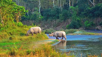 best-of-nepal-08