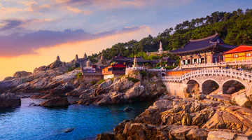 busan-02-discover