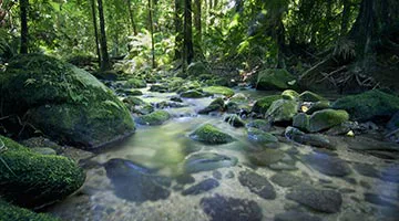 cairns-reef-and-rainforest-01