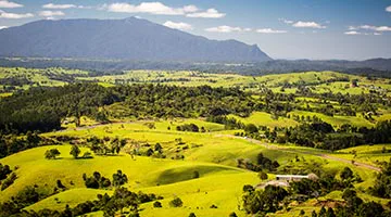cairns-reef-and-rainforest-04