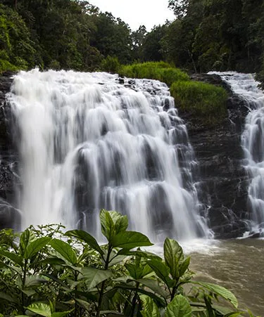 Coorg-03