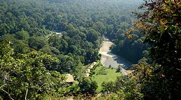 Danum-Valley-03-jfhg