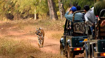 deccan-odyssey-maharashtra-wild-trail-07