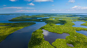 Everglades-comflir