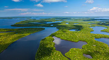 Everglades-sunshi