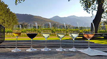 franschhoek-motor-museum-wine-tasting-and-winelands-lunch-02