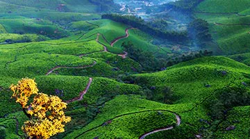 golden-triangle-and-kerala-backwaters-12
