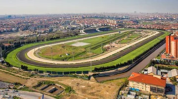 Hippodrome-01-tanzanile