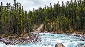 jasper-02-alaska-iti-ima
