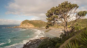 Karikari-Peninsula-Northland-01