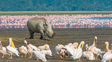 kenya-horizon-06