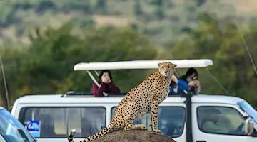 kenya-odyssey-to-mombasa-coast-02