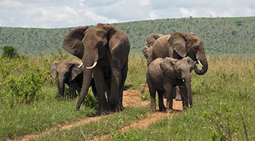 kenya-odyssey-to-mombasa-coast-03
