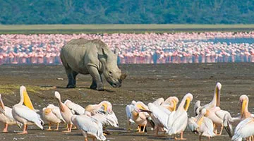 kenya-odyssey-to-mombasa-coast-04
