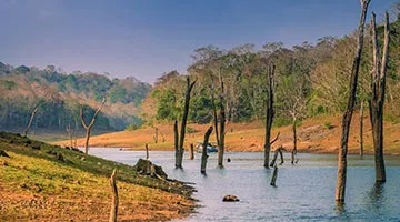 keralan-backwater-experience-07